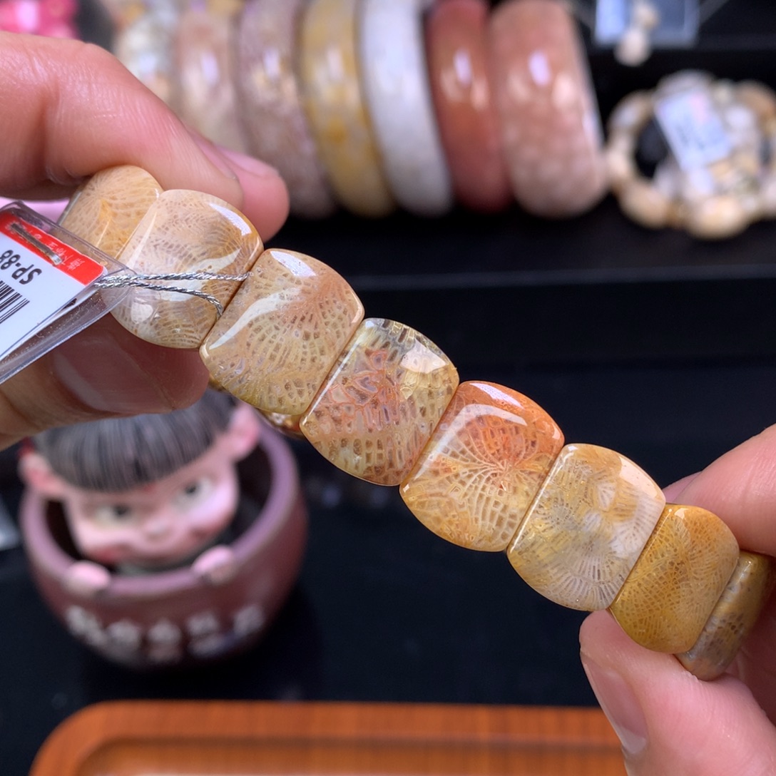 硅化珊瑚（珊瑚玉）未镶嵌颈饰19号彩龙凤呈现