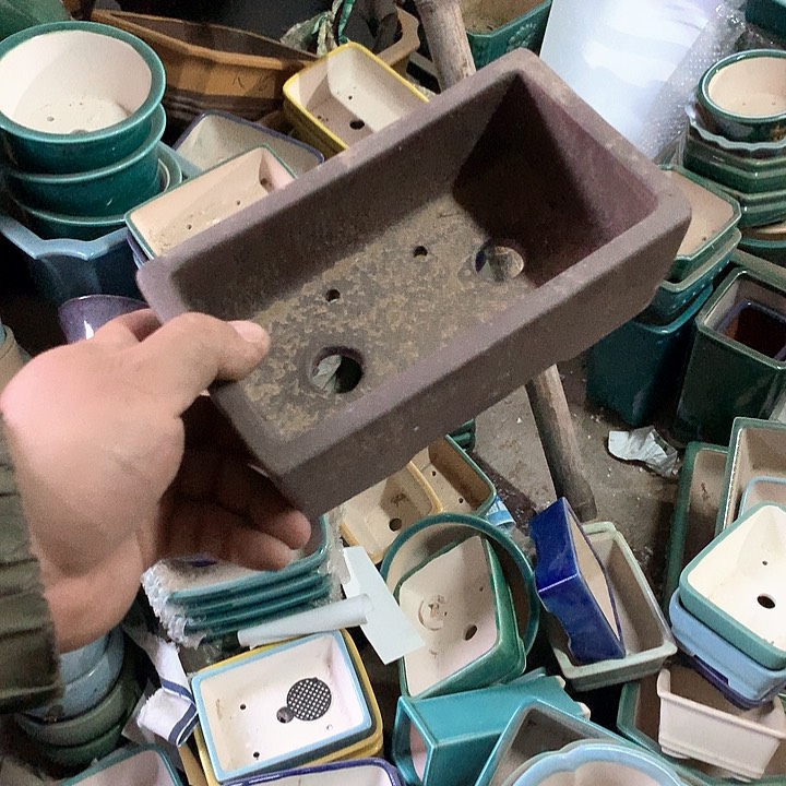 紫砂我要不要好好照顾自己呀……