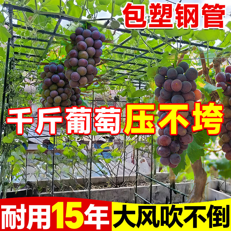 葡萄架子庭院户外葫芦爬藤架丝瓜百香果爬藤支架室外植物支撑杆网