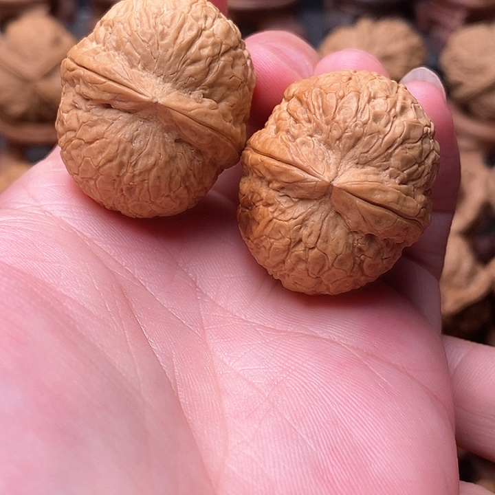 桃核把件小至尊元宝……