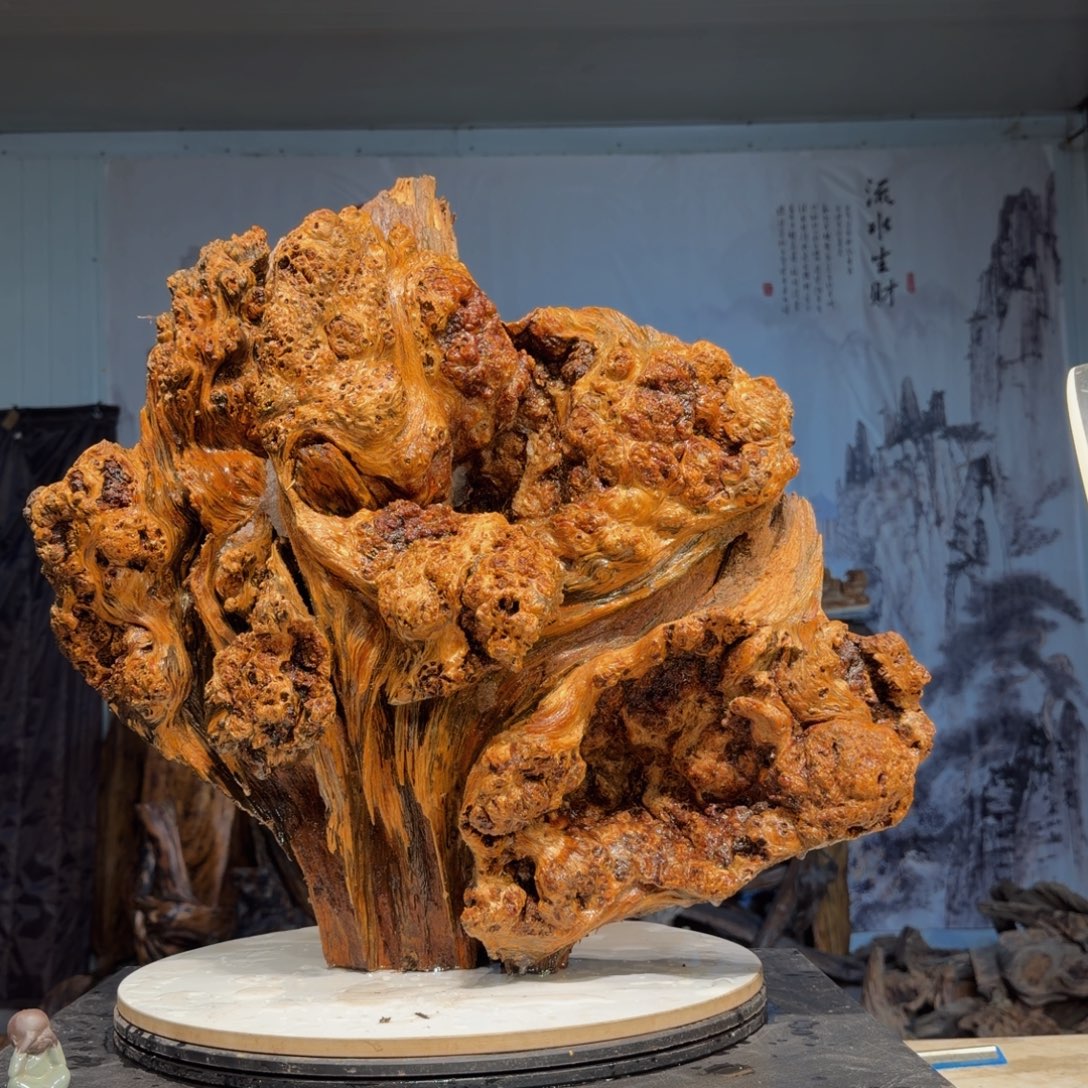 神***木木三丰琥珀木 天然摆件13