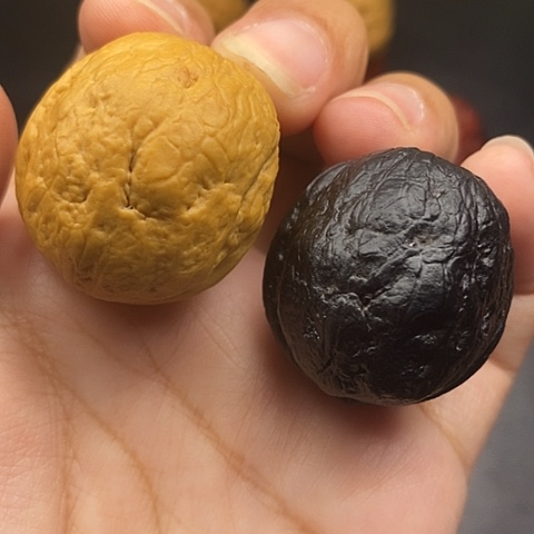 文玩核桃把件37尺寿星元宝