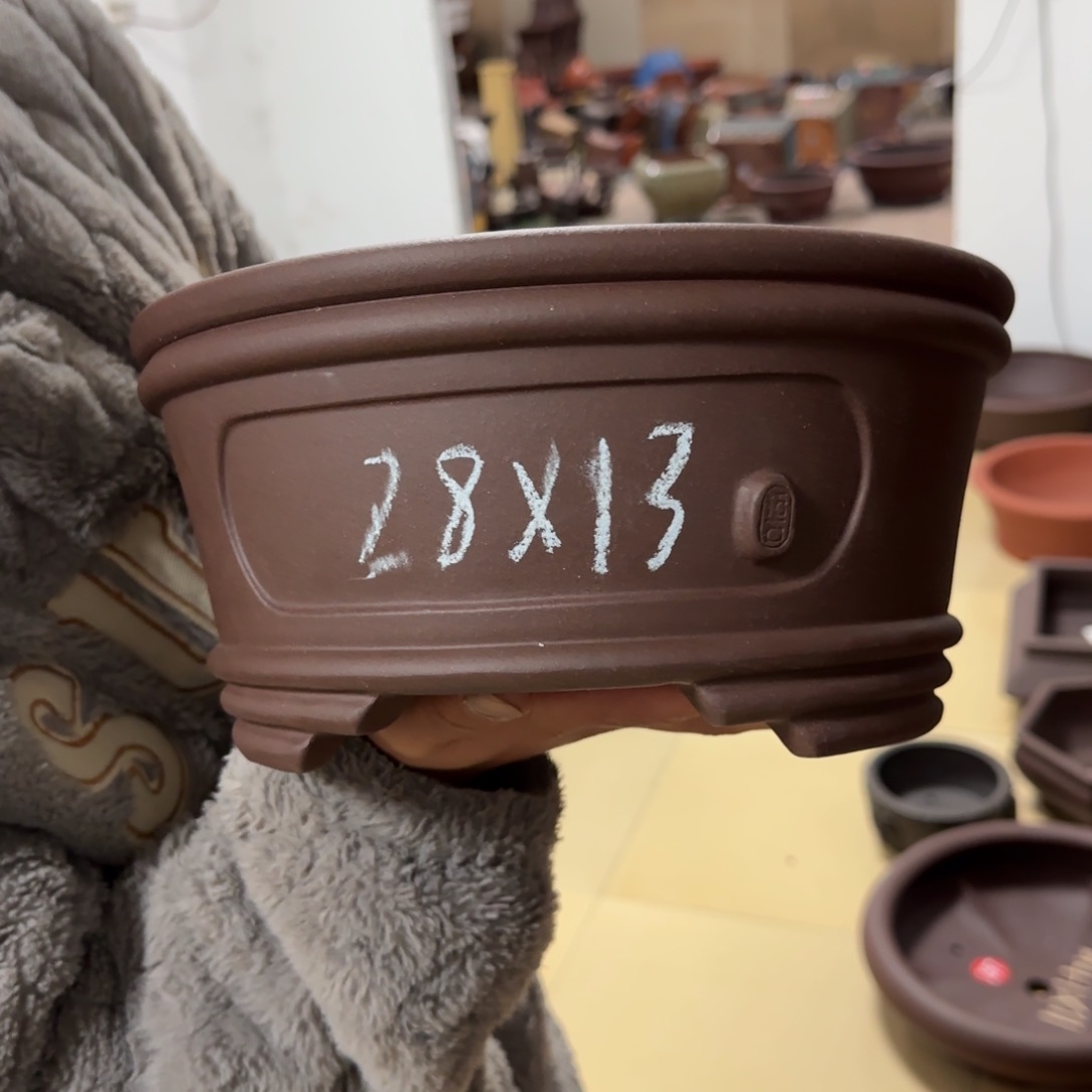 紫砂花盆呜呜呜呜