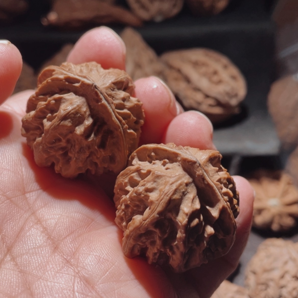 【闪购商品】文玩核桃把件东北楸子2