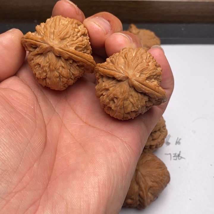 转***！手串/手链核桃三角白狮子头39尺寸