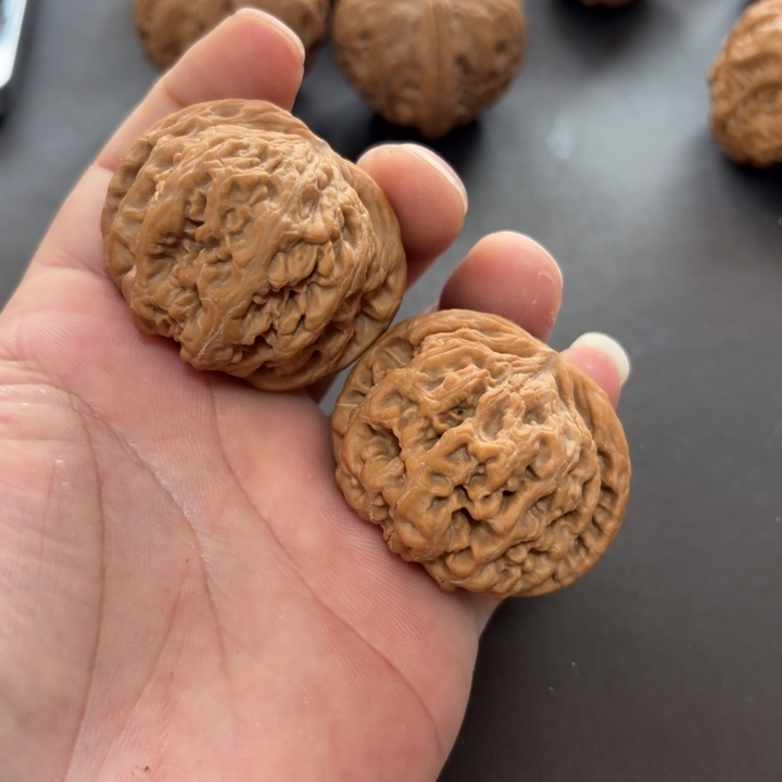 _***途大叶紫檀（黑酸枝木类）粗筋