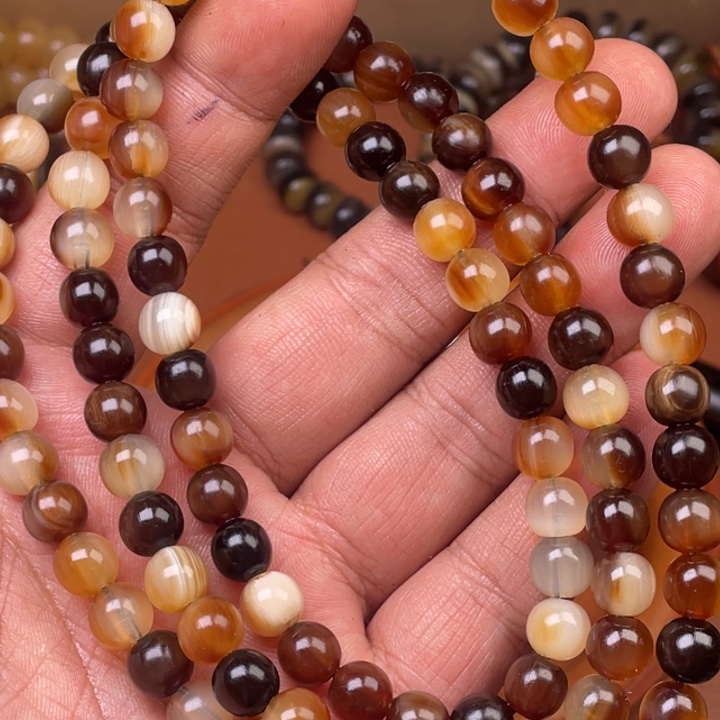 驼骨其他人工养殖