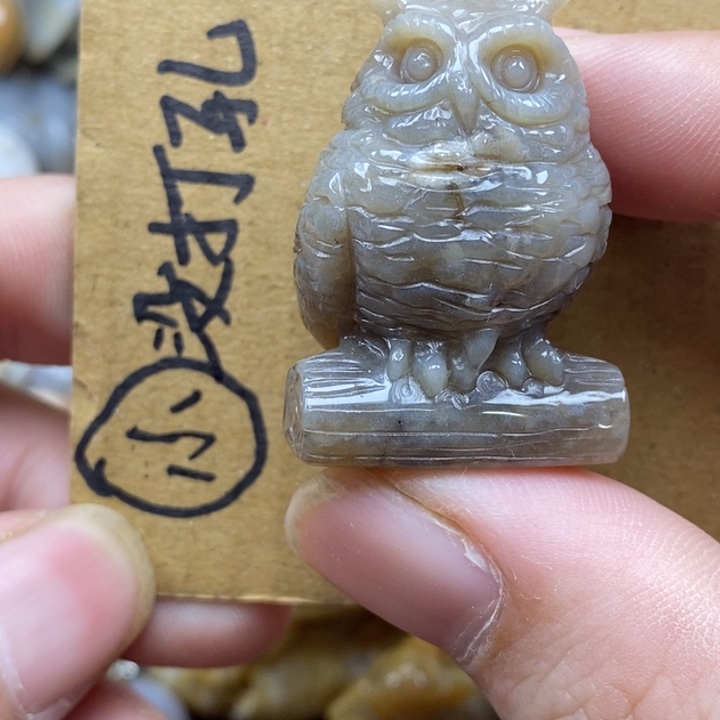 硅化珊瑚（珊瑚玉）未镶嵌颈饰