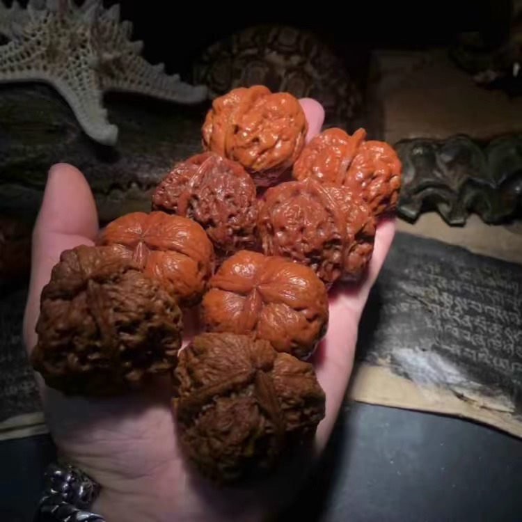 百年老树野生铁核桃，老树老果