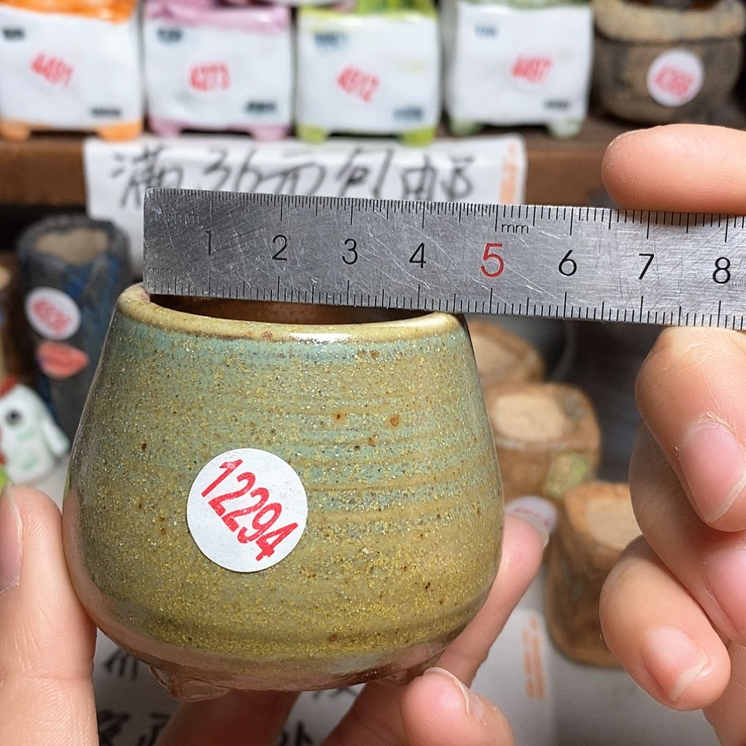 红陶拍5送一个小