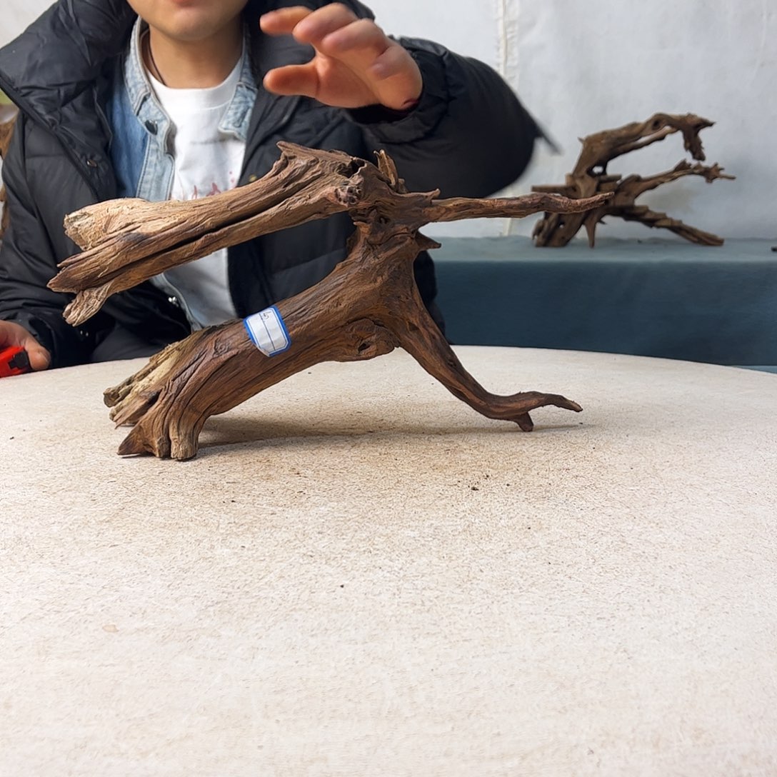 新年快乐沉木造景