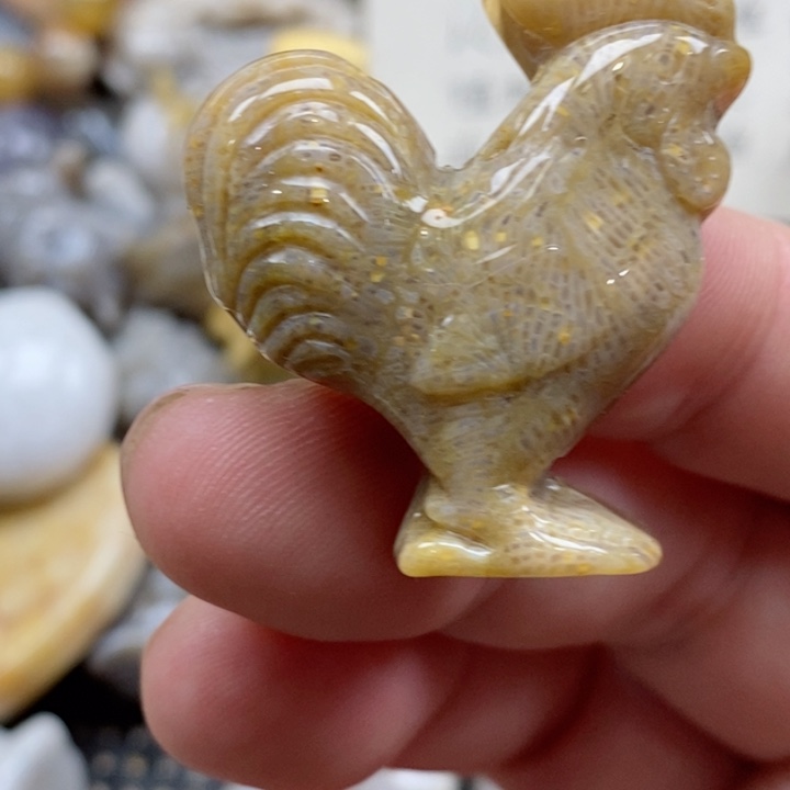 颈饰未镶嵌硅化珊瑚（珊瑚玉）