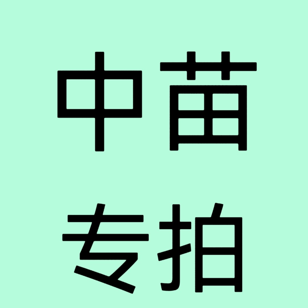 天竺葵中苗链接（介意黄叶勿拍）