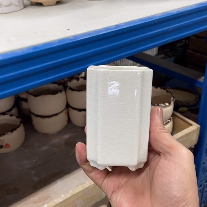 花盆单场满9.9发货6*10