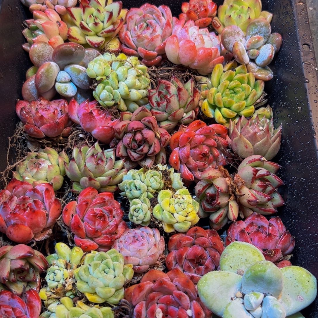 684点点滴滴的点点滴滴