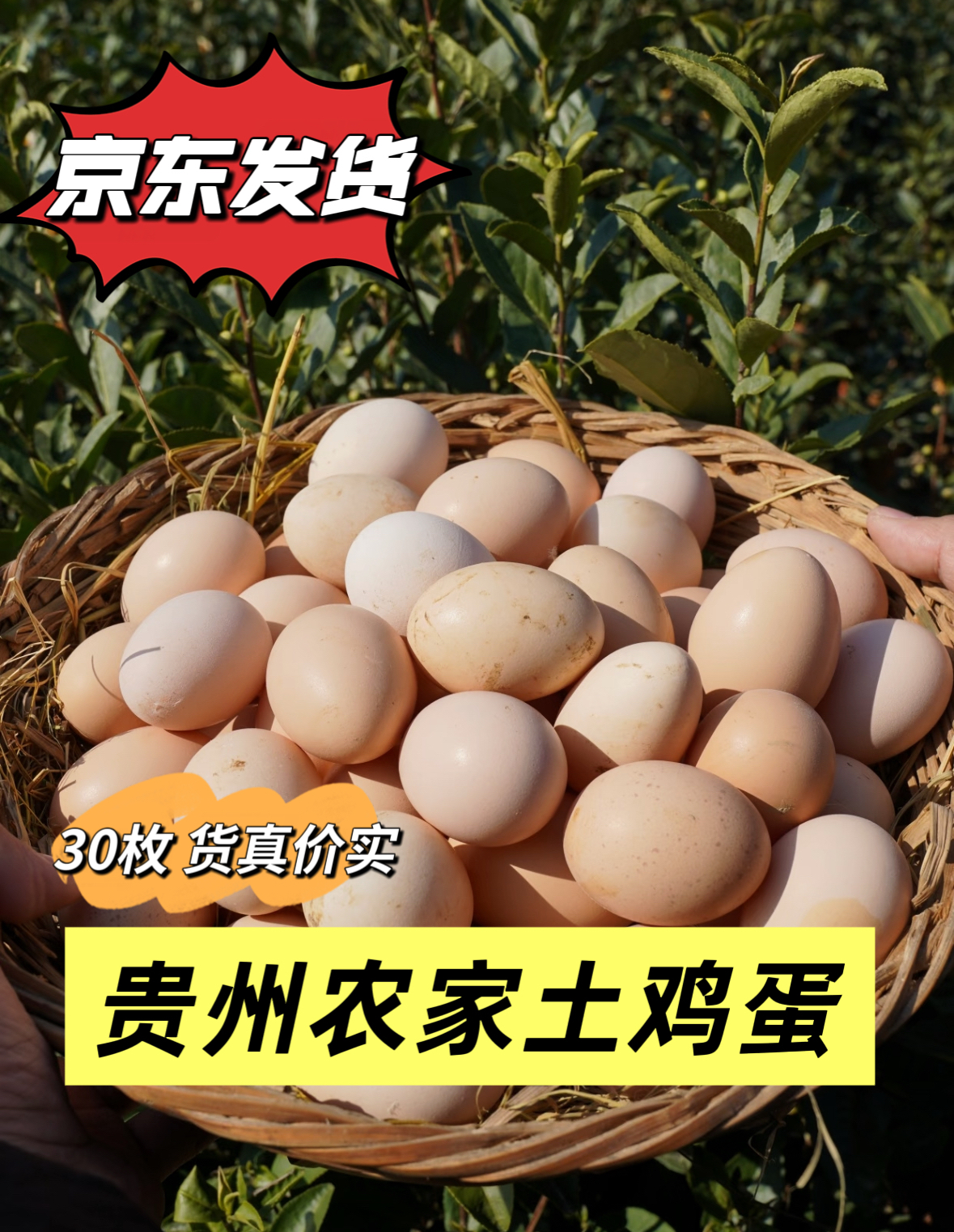 新亮新农人【助农]农家谷物土鸡蛋新鲜农家散养士鸡蛋30枚京东送货