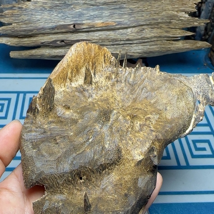 线香母树虎斑奇包头45克