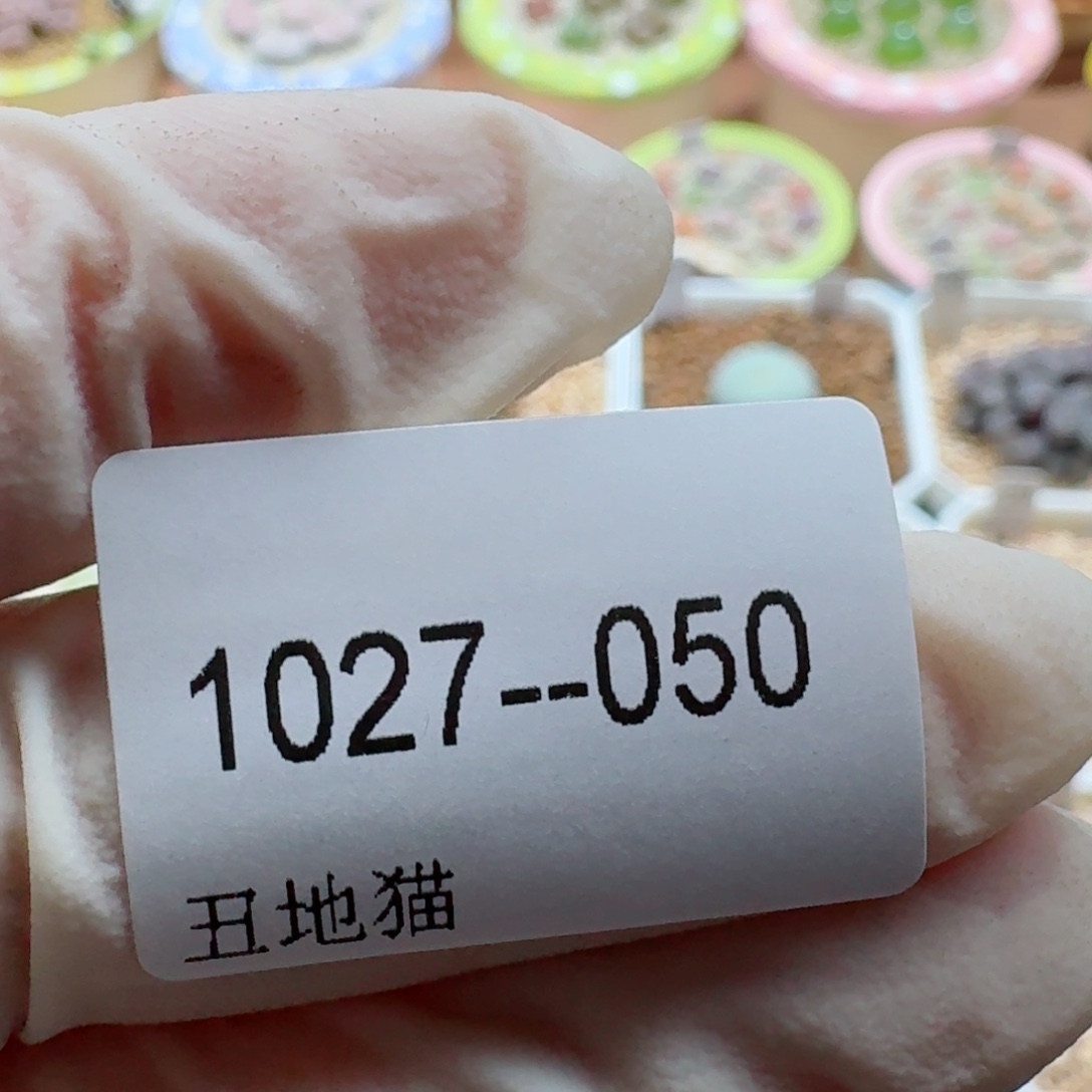 時***。1027-050卷卷卷卷j