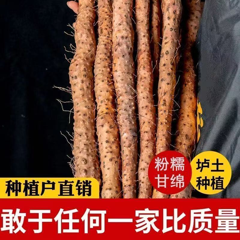 河南焦作正宗垆土新鲜铁棍山药粉糯可口特产