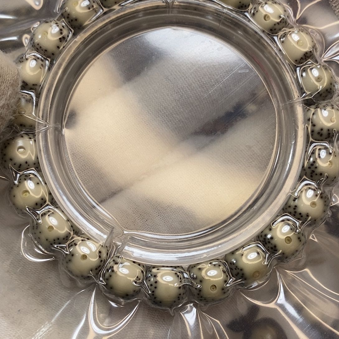 星月菩提手串9原生态