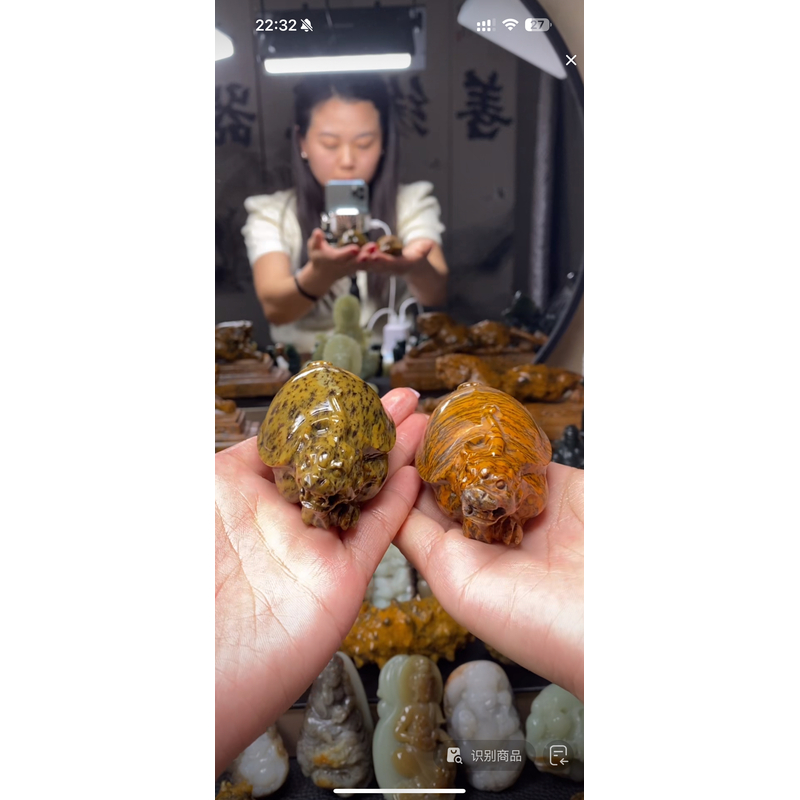 和田玉龙龟，实物漂亮