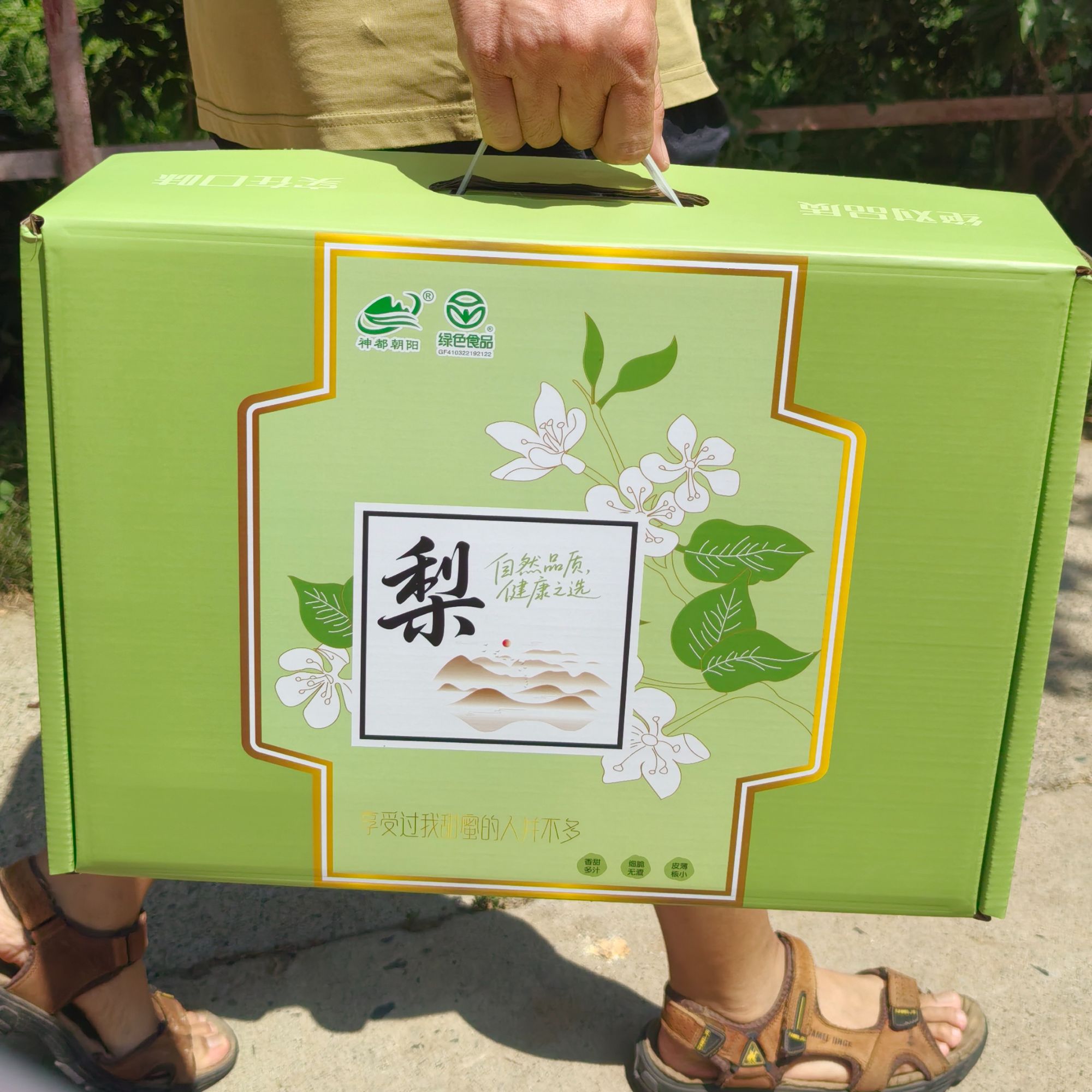 【绿色食品】精品礼盒基地直发正宗玉露香梨脆甜多汁细腻无渣核小