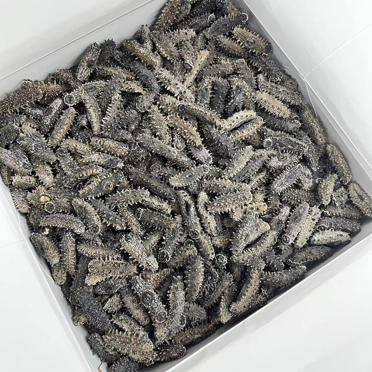 高丽海参2斤3斤克海参大连海刺参泡发好