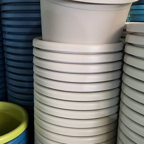 树脂四季4号灰白无托8个特价