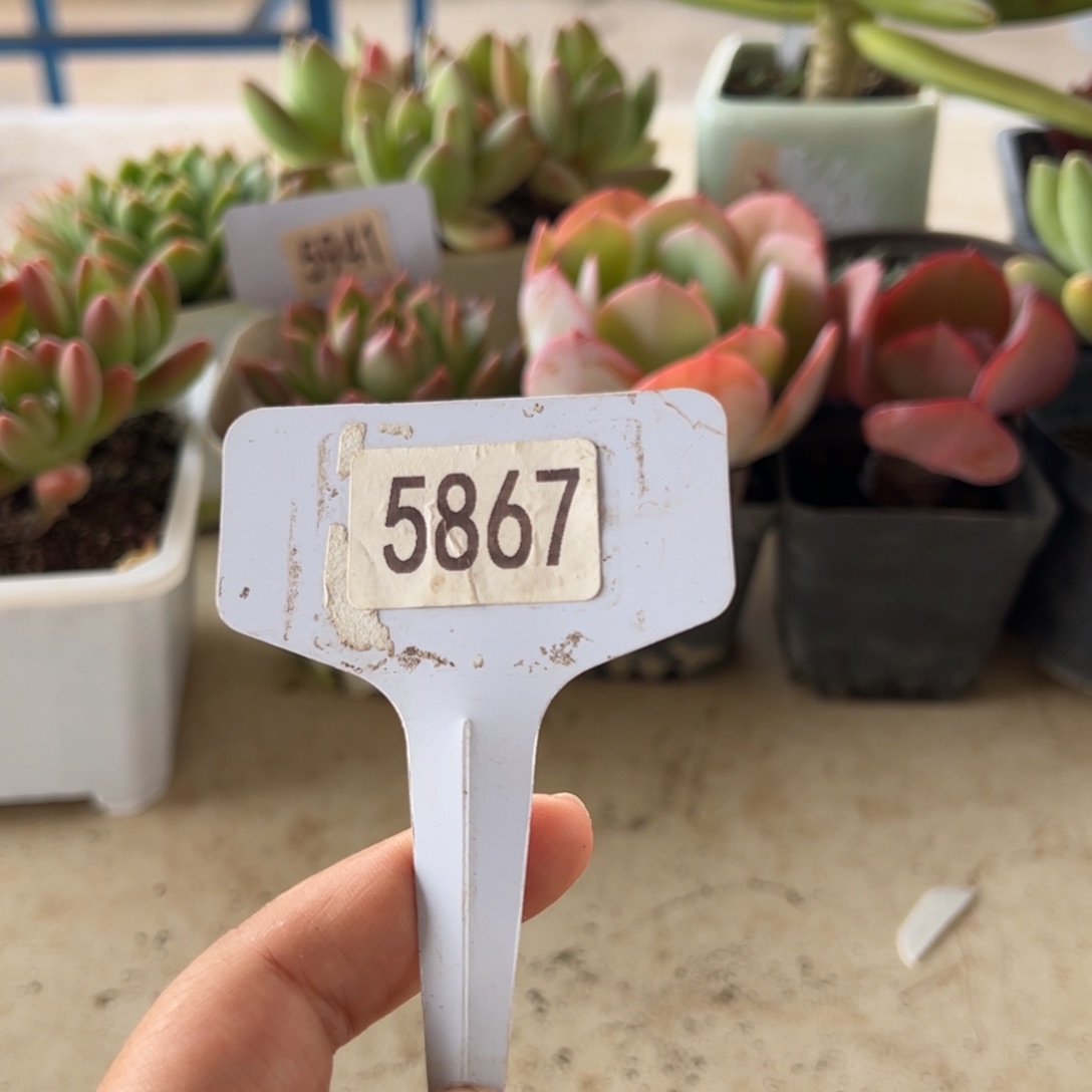 【闪购商品】南*。5867。 1111111111