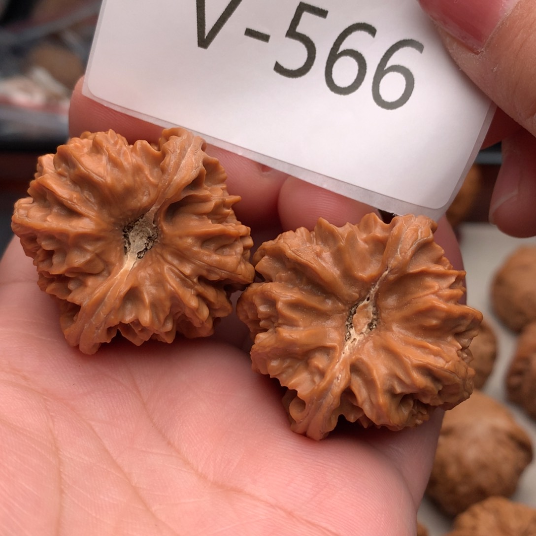 文玩核桃把件38曹大龙……….