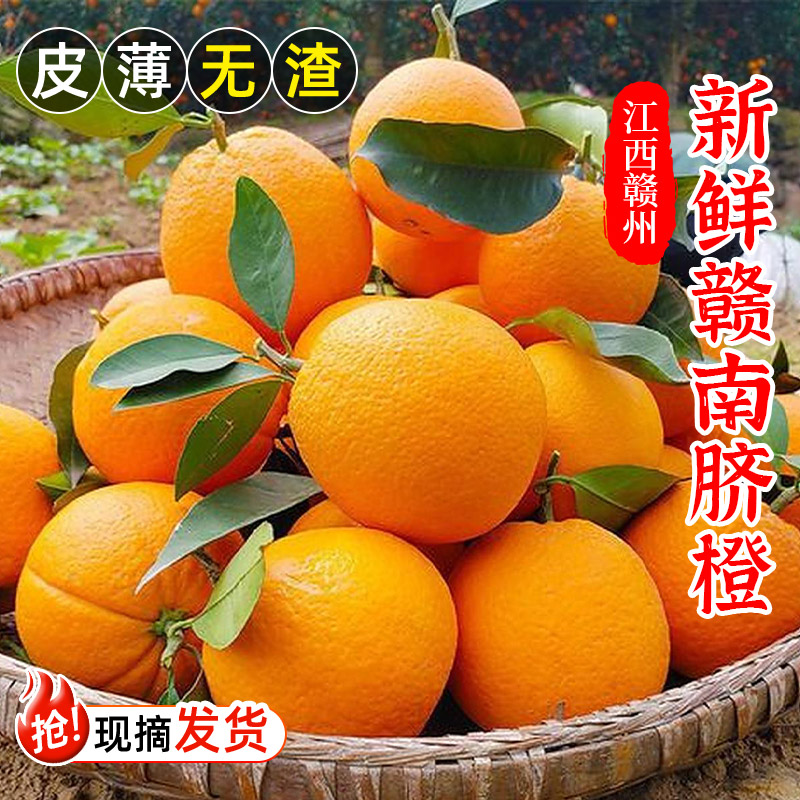 正宗赣南脐橙新鲜现摘江西赣南脐橙多汁香甜产地直发水果