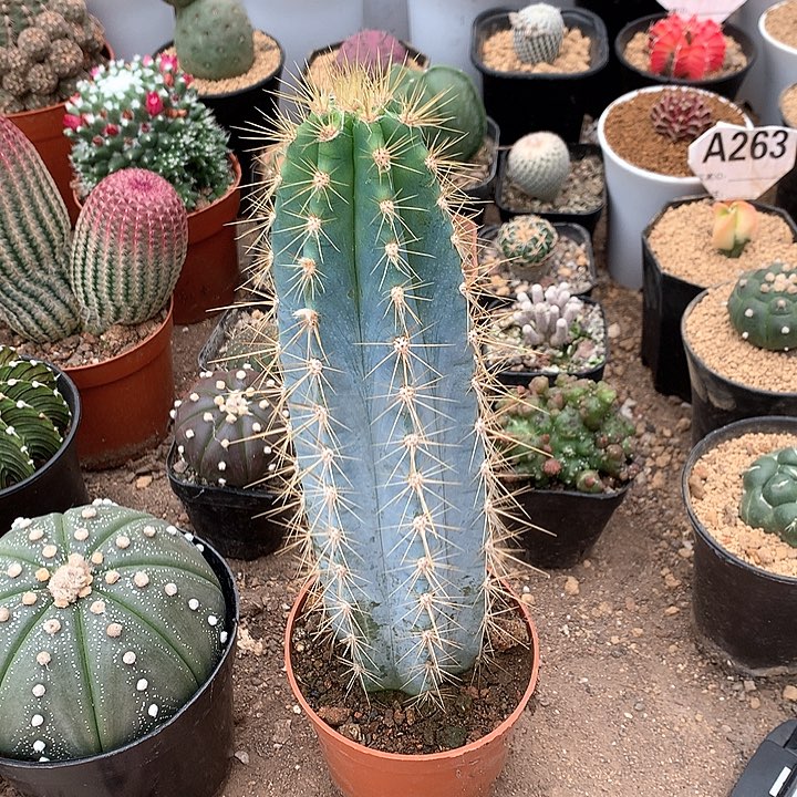 奈****沫3333333333333