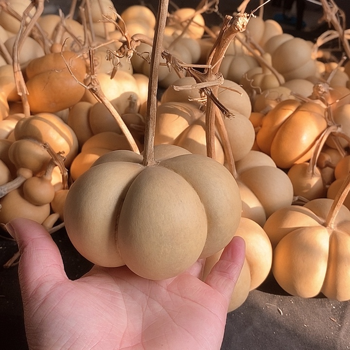 樱****子葫芦的颜色很好看