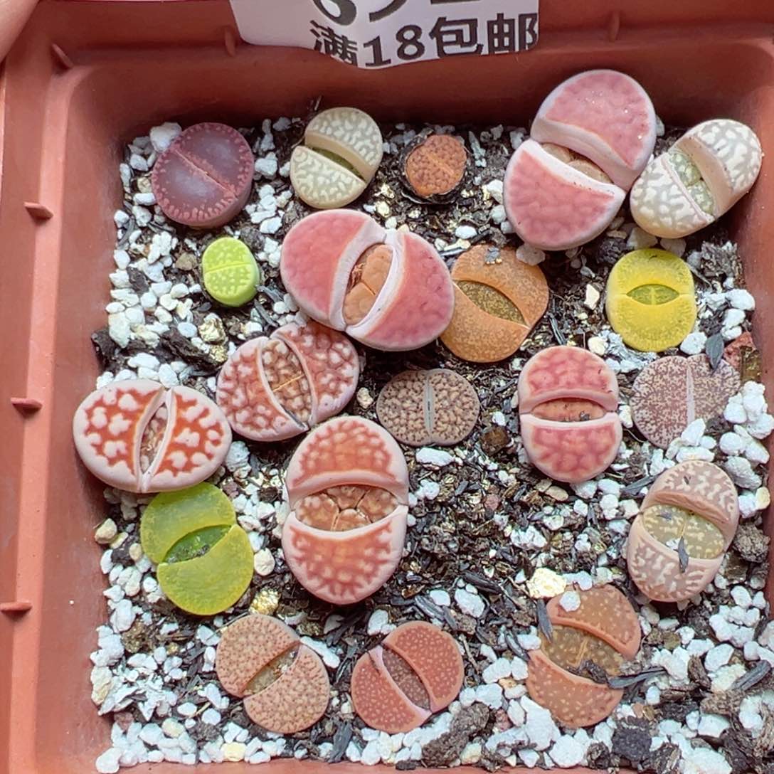 【闪购商品】691……