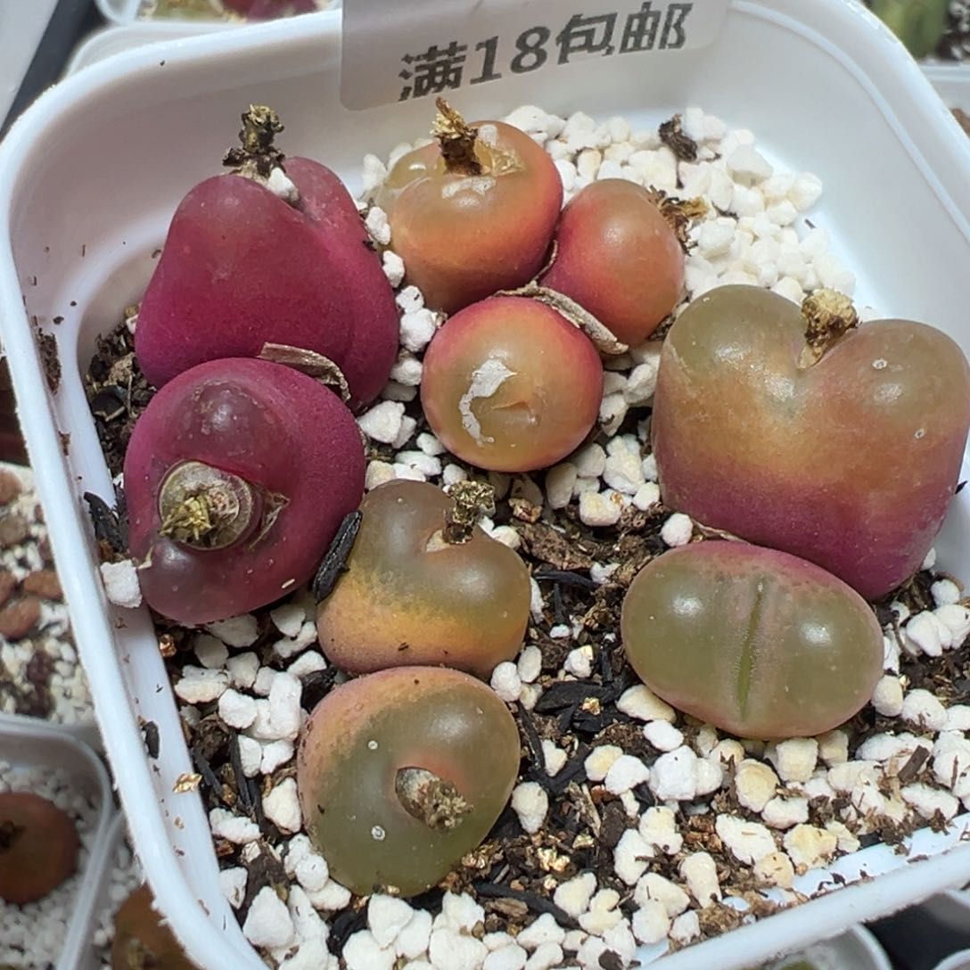 【闪购商品】 349。      