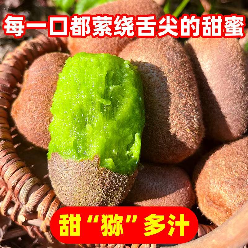 贵州修文县新鲜贵长猕猴桃现摘现发皮薄肉厚甜蜜多汁30枚TG