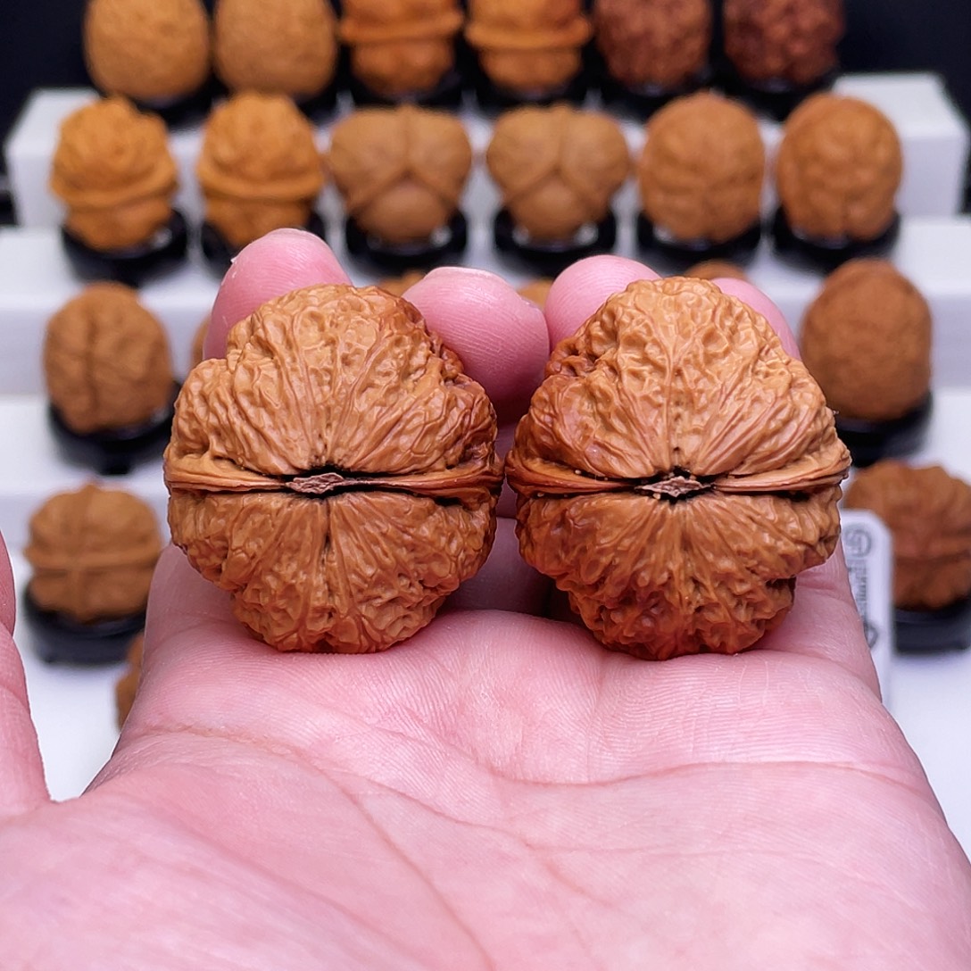 吊坠文玩核桃金蟾王40尺