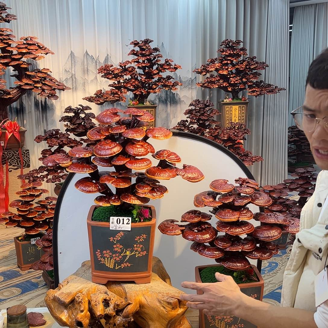 當***家无花朵58888888888