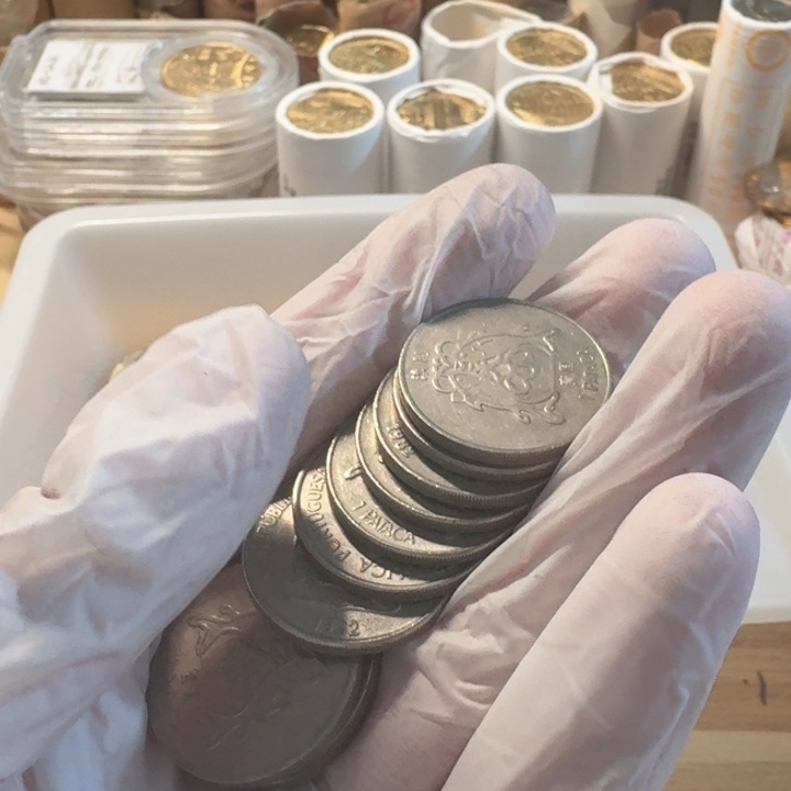 其他普通金属10枚，双鱼币，流通品