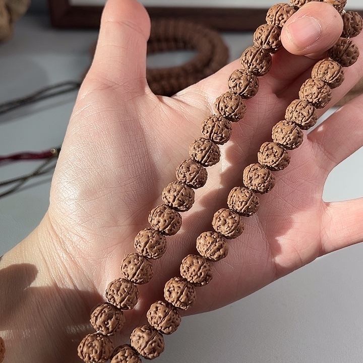 金刚菩提手串树王 11.5