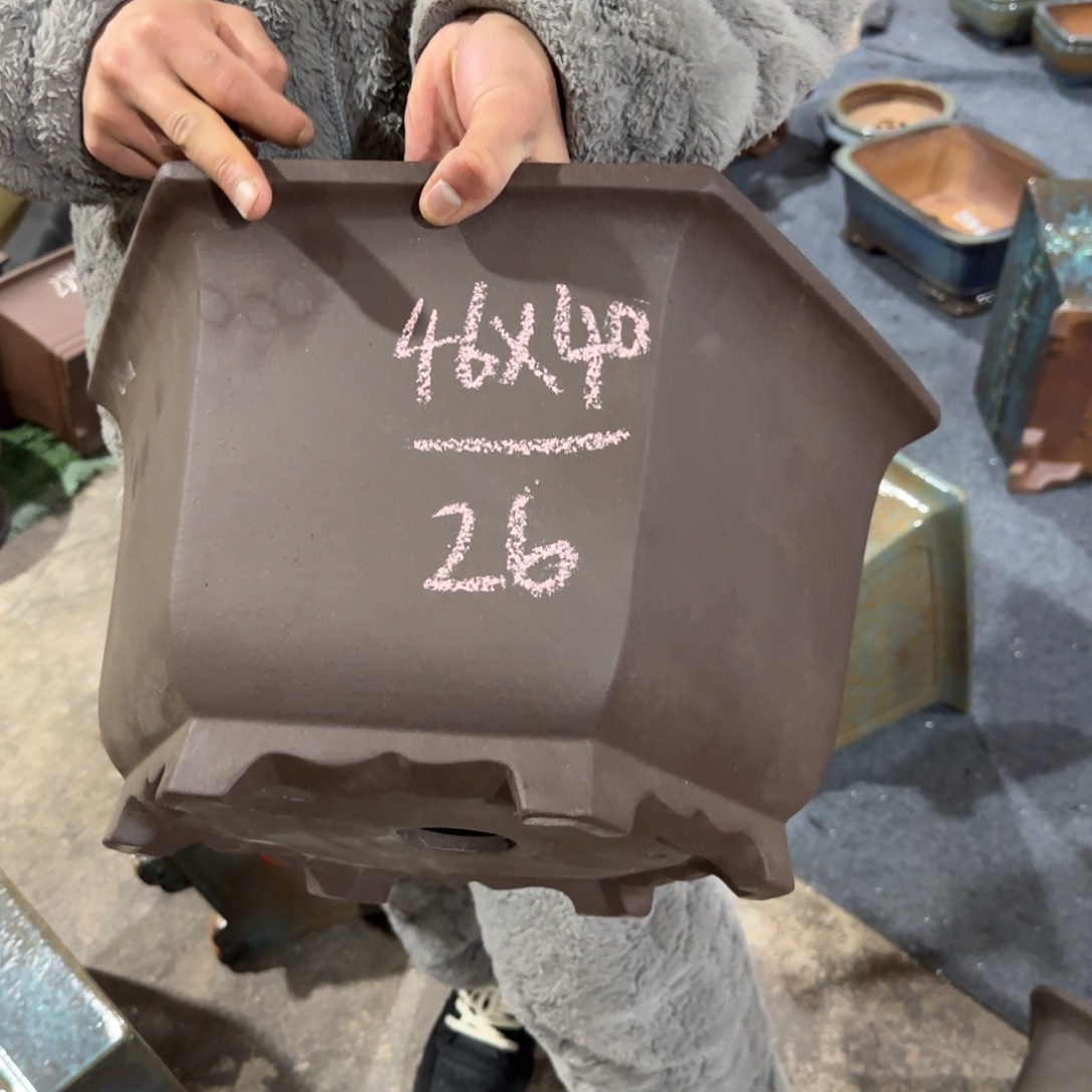 紫砂花盆呜呜呜呜