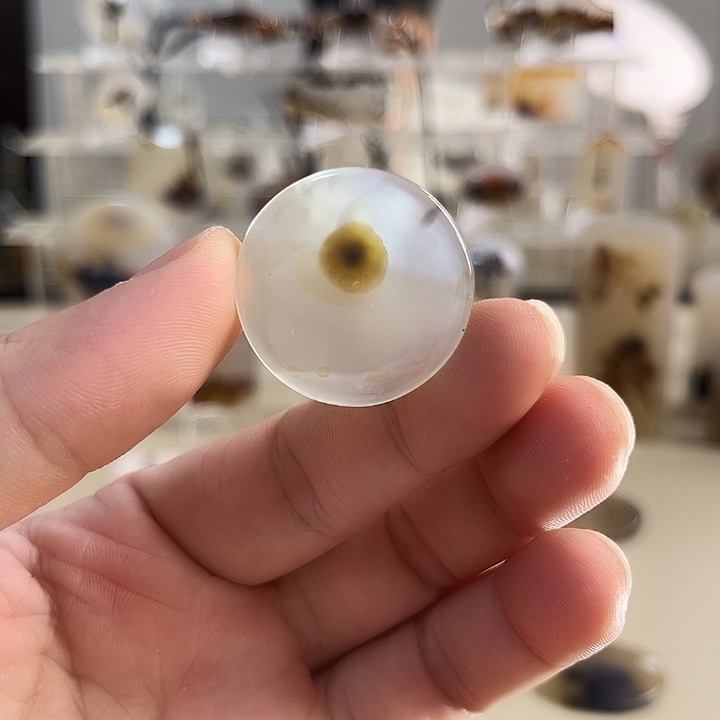 玛瑙/玉髓吊坠(不含链)未镶嵌