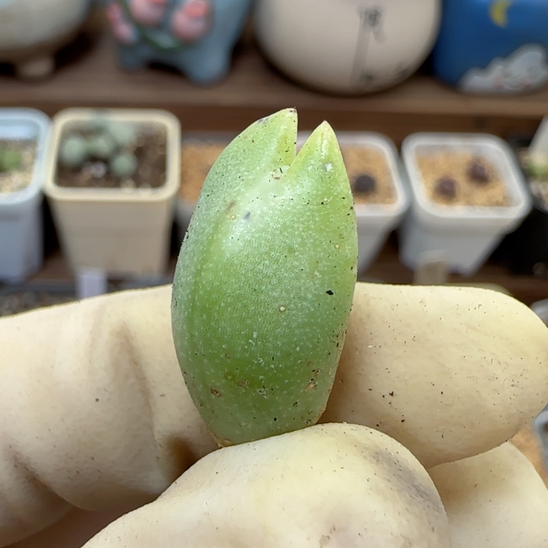 673福利福利福利