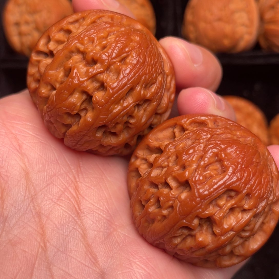 秦岭野生文玩核桃