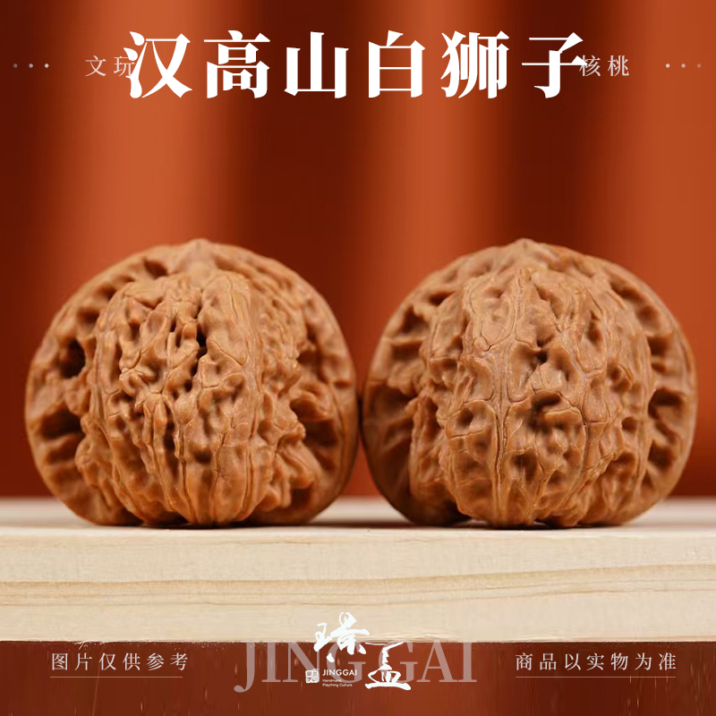 汉高山白狮子【璟盖家瘦小伙推荐】