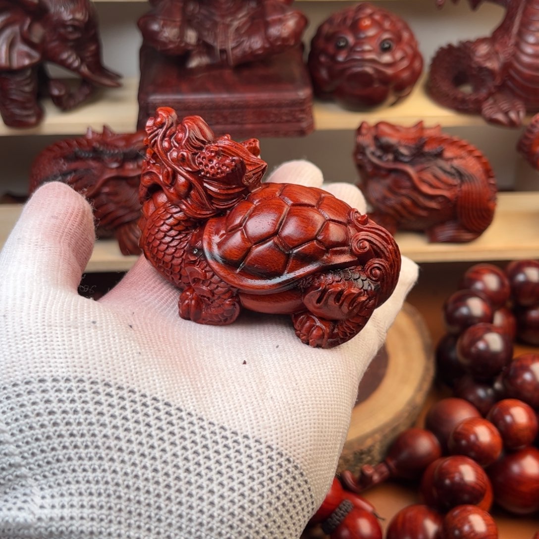 木龙龟火焰纹-多样性发其一