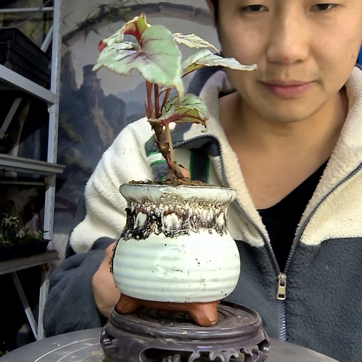 李***瑞中青园艺一物一拍花78