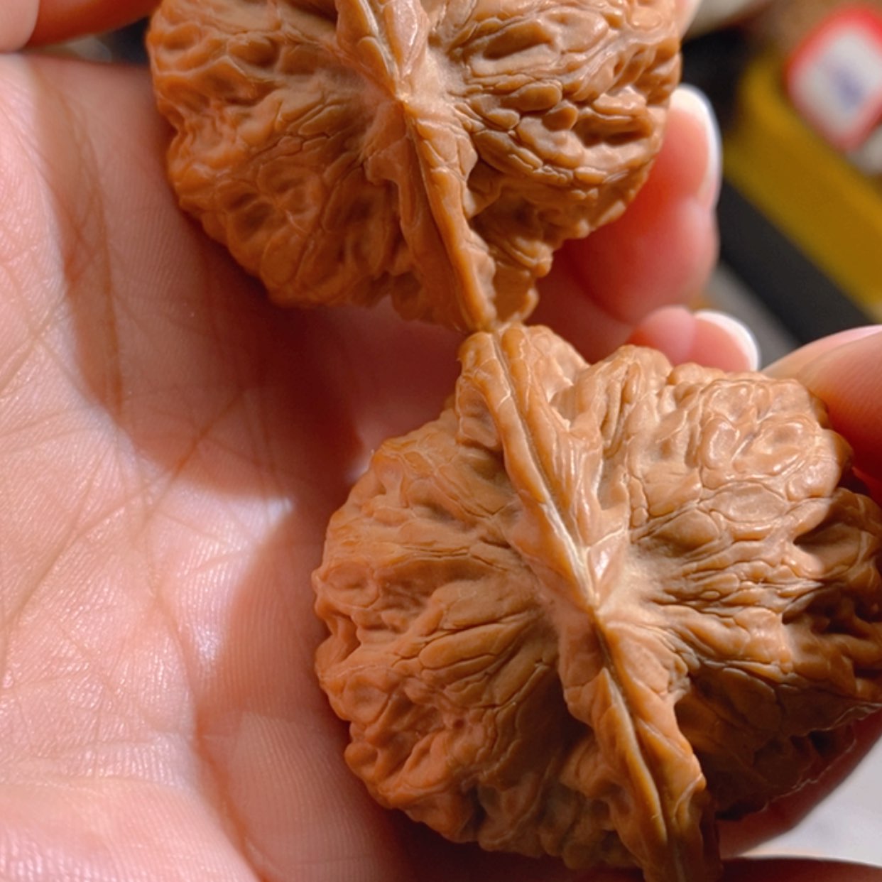 【闪购商品】吊坠文玩核桃人**菊凤凰台