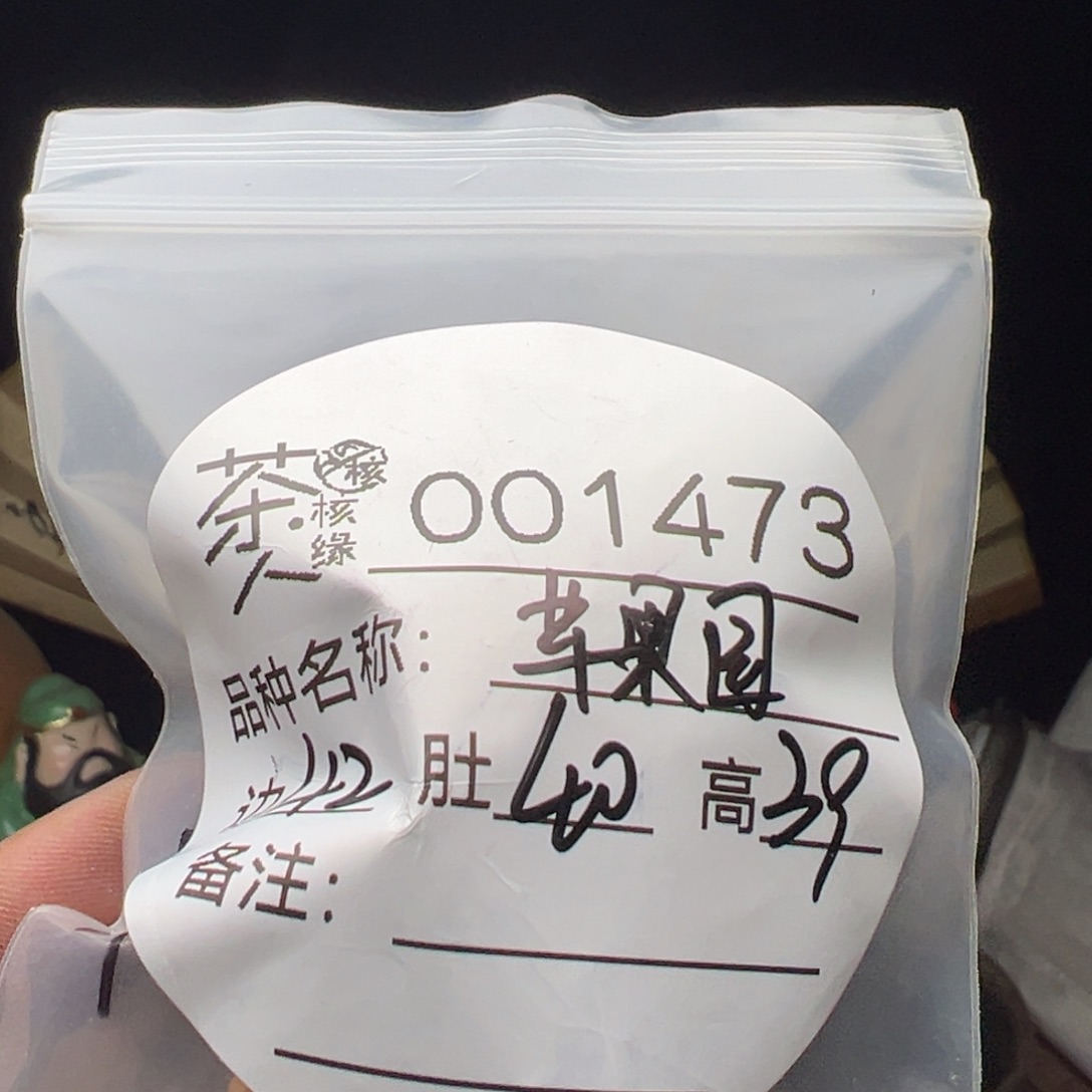 文玩核桃吊坠今天