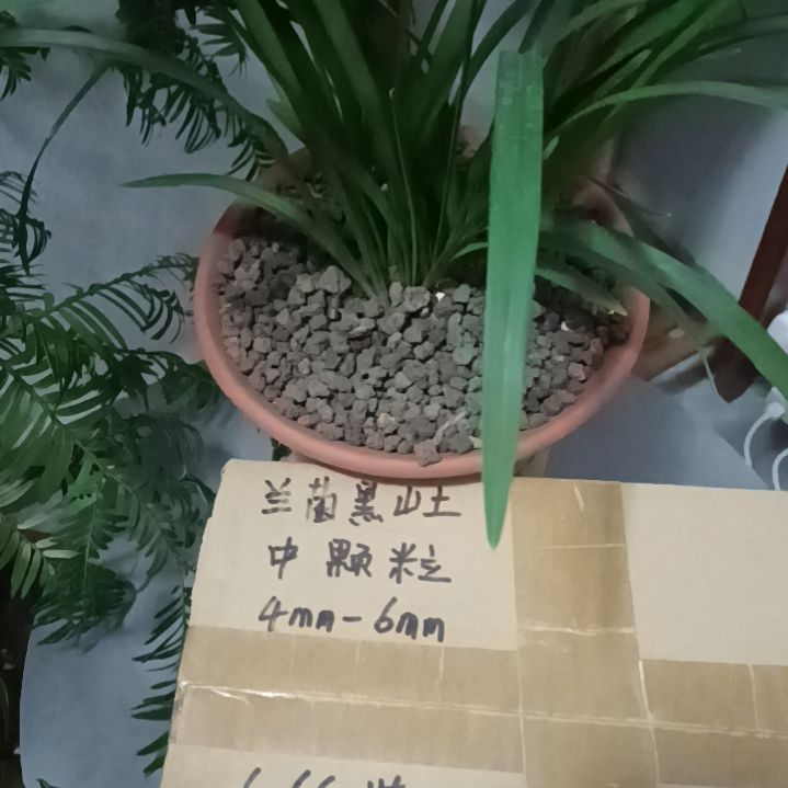 过***忆兰菌颗粒中颗粒6.6斤